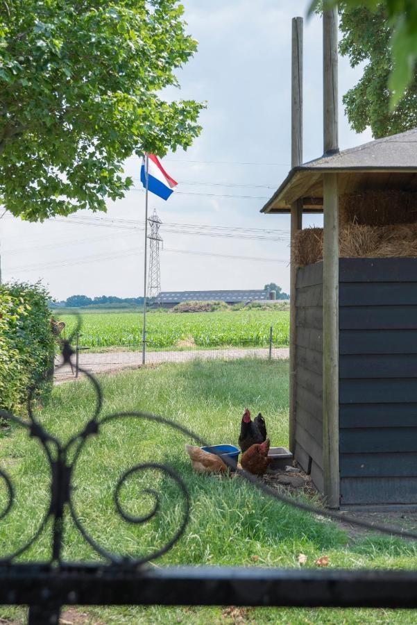 De Dorsvloer Appartement Drimmelen Buitenkant foto
